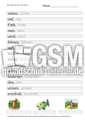 DSS_2S_FW_100_NR_64.pdf